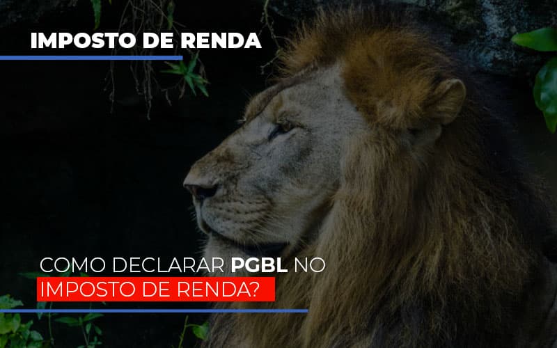 Ir2020:como Declarar Pgbl No Imposto De Renda Blog Vb Contabilidade - Contabilidade e Administração de Condomínios em Maringá | VB Comtanilidade